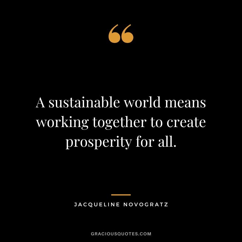 A sustainable world means working together to create prosperity for all. - Jacqueline Novogratz