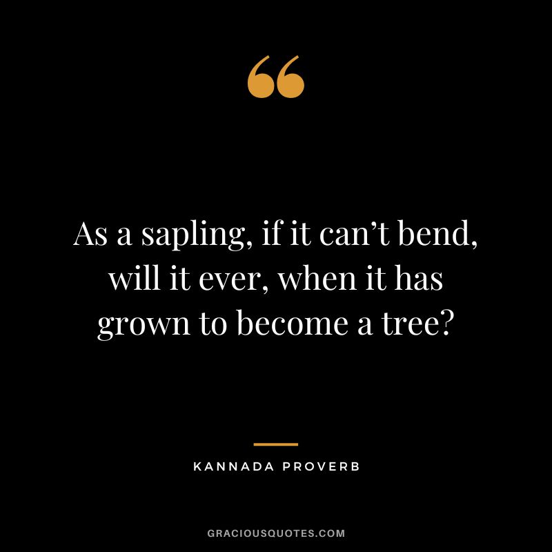 As a sapling, if it can’t bend, will it ever, when it has grown to become a tree