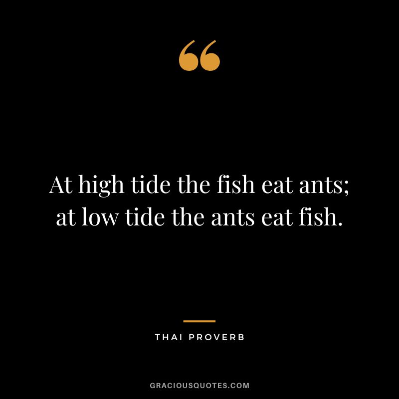 At high tide the fish eat ants; at low tide the ants eat fish.