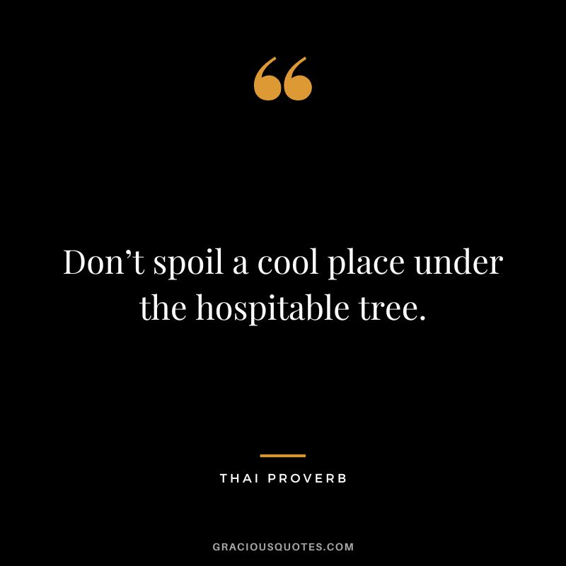 Don’t spoil a cool place under the hospitable tree.