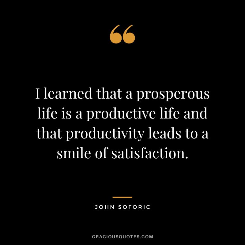 I learned that a prosperous life is a productive life and that productivity leads to a smile of satisfaction. - John Soforic