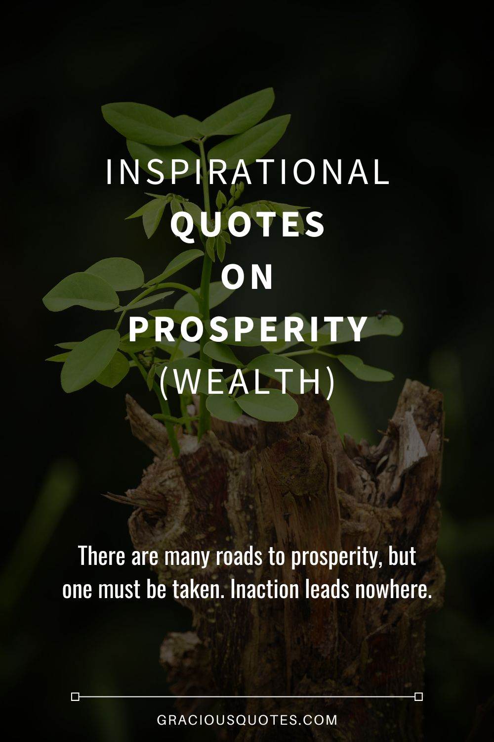 Inspirational Quotes on Prosperity (WEALTH) - Gracious Quotes