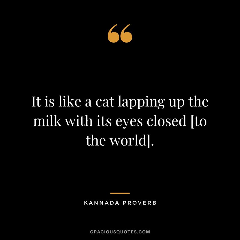 It is like a cat lapping up the milk with its eyes closed [to the world].