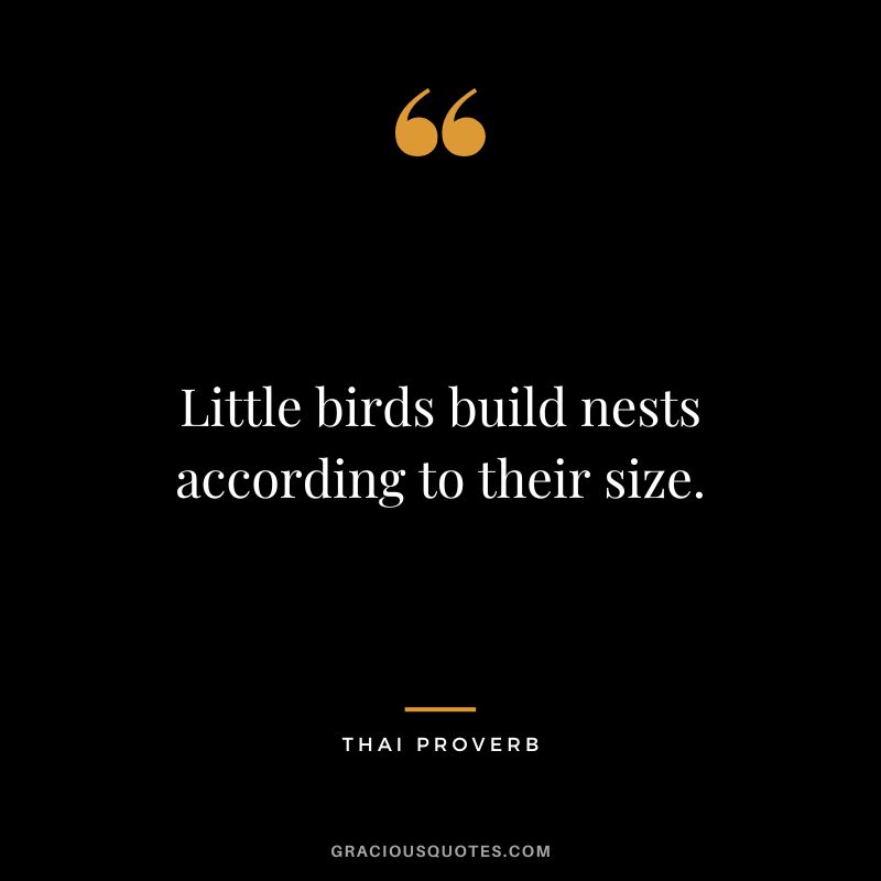 Little birds build nests according to their size.