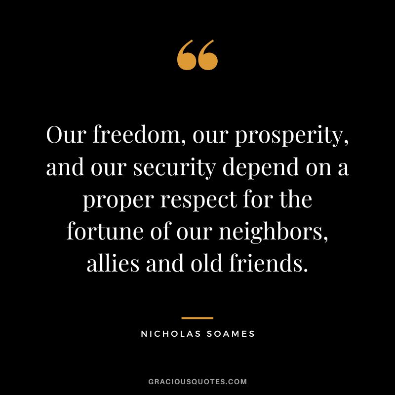 Our freedom, our prosperity, and our security depend on a proper respect for the fortune of our neighbors, allies and old friends. - Nicholas Soames