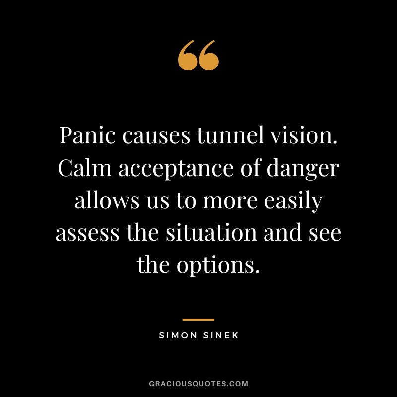 Panic causes tunnel vision. Calm acceptance of danger allows us to more easily assess the situation and see the options. - Simon Sinek