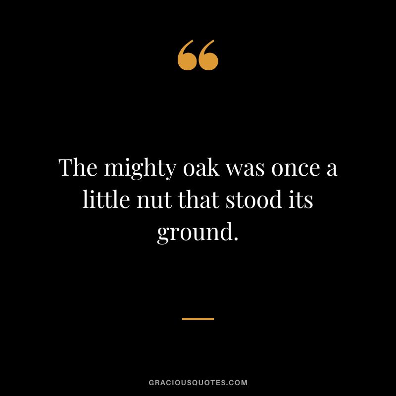 The mighty oak was once a little nut that stood its ground.
