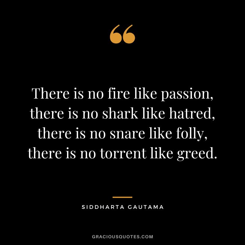 There is no fire like passion, there is no shark like hatred, there is no snare like folly, there is no torrent like greed. - Siddharta Gautama