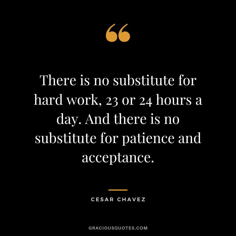 There is no substitute for hard work, 23 or 24 hours a day. And there is no substitute for patience and acceptance. - Cesar Chavez
