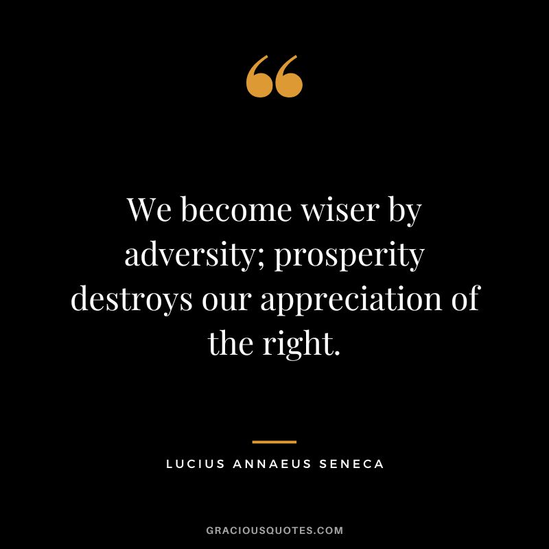 We become wiser by adversity; prosperity destroys our appreciation of the right. - Lucius Annaeus Seneca