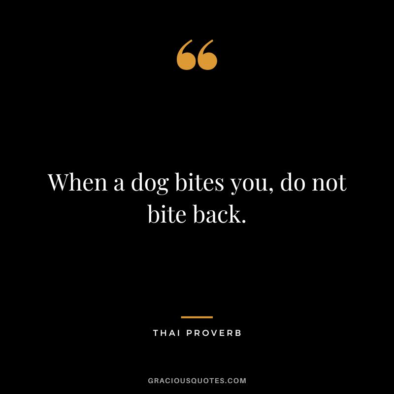 When a dog bites you, do not bite back.