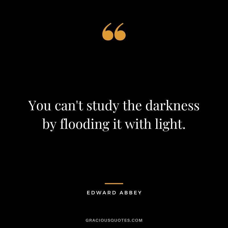 You can't study the darkness by flooding it with light. - Edward Abbey