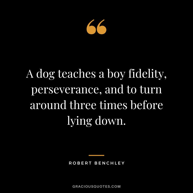 A dog teaches a boy fidelity, perseverance, and to turn around three times before lying down. - Robert Benchley