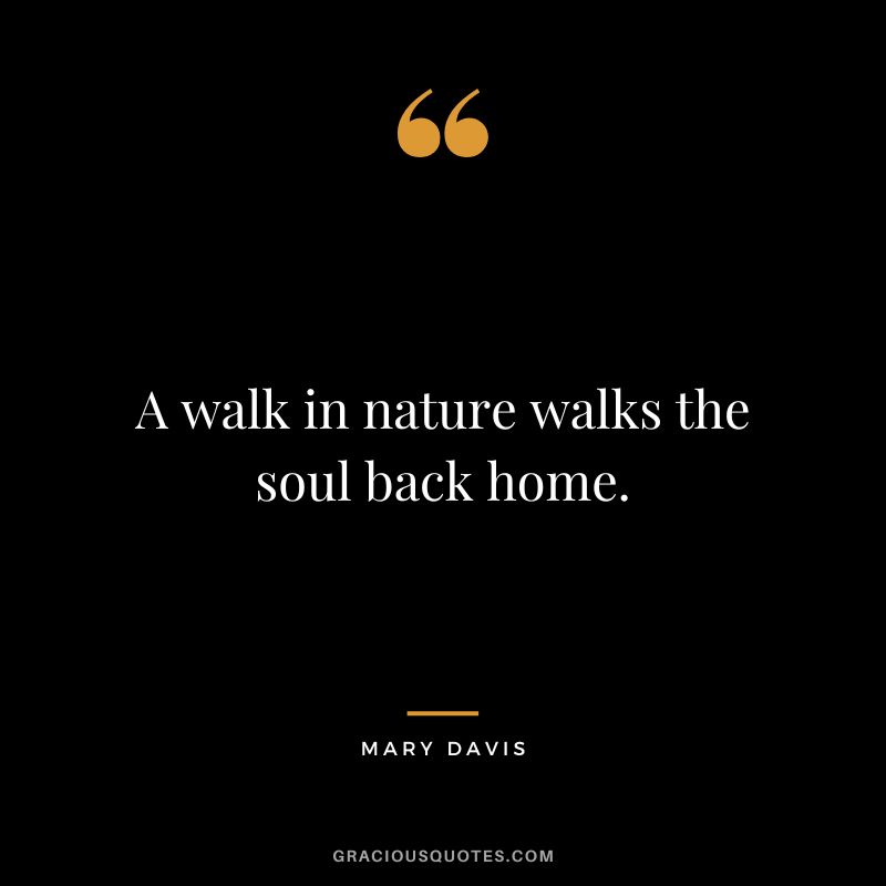 A walk in nature walks the soul back home. - Mary Davis