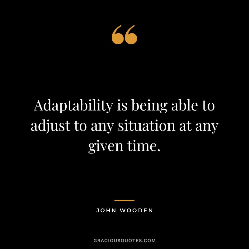 Adaptability is being able to adjust to any situation at any given time. - John Wooden