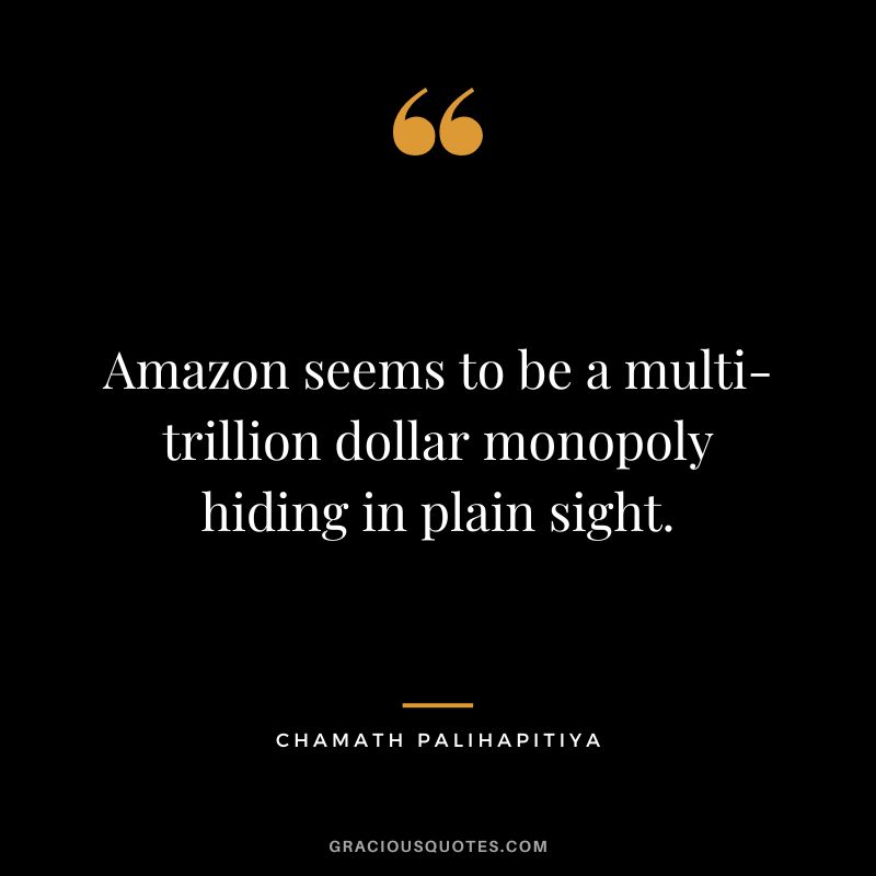 Amazon seems to be a multi-trillion dollar monopoly hiding in plain sight.