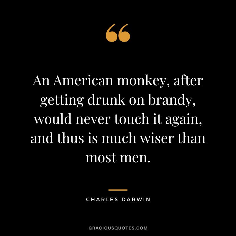 An American monkey, after getting drunk on brandy, would never touch it again, and thus is much wiser than most men.