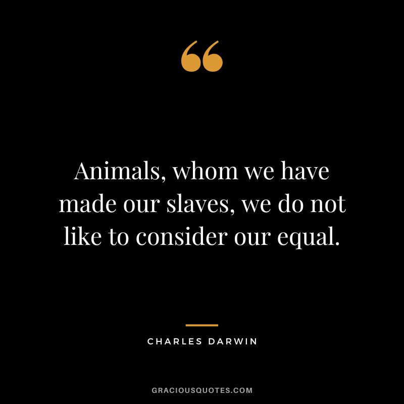 Animals, whom we have made our slaves, we do not like to consider our equal.