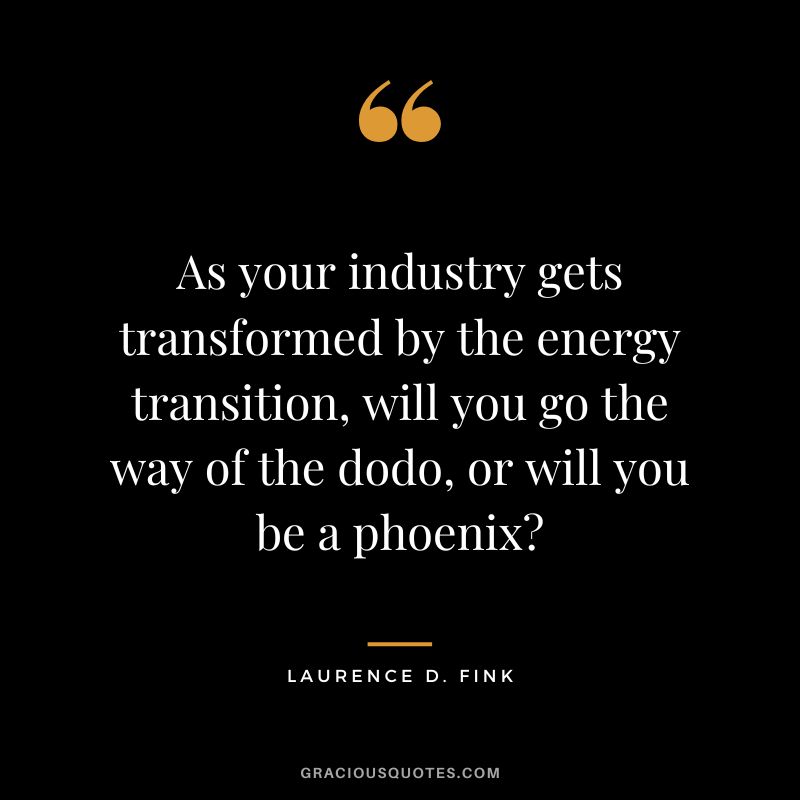 As your industry gets transformed by the energy transition, will you go the way of the dodo, or will you be a phoenix?