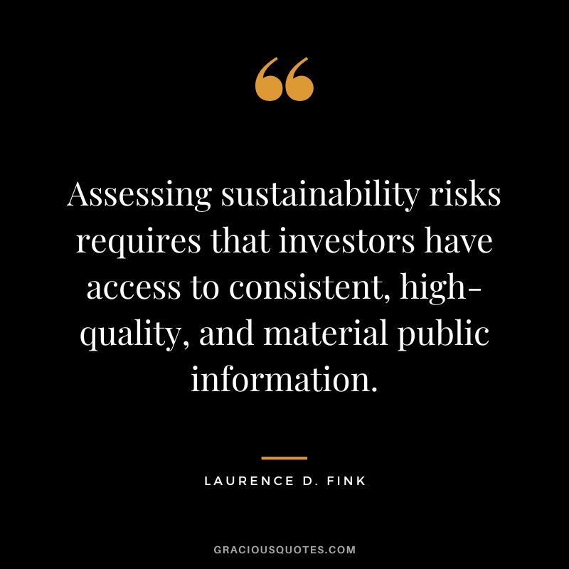 Assessing sustainability risks requires that investors have access to consistent, high-quality, and material public information.