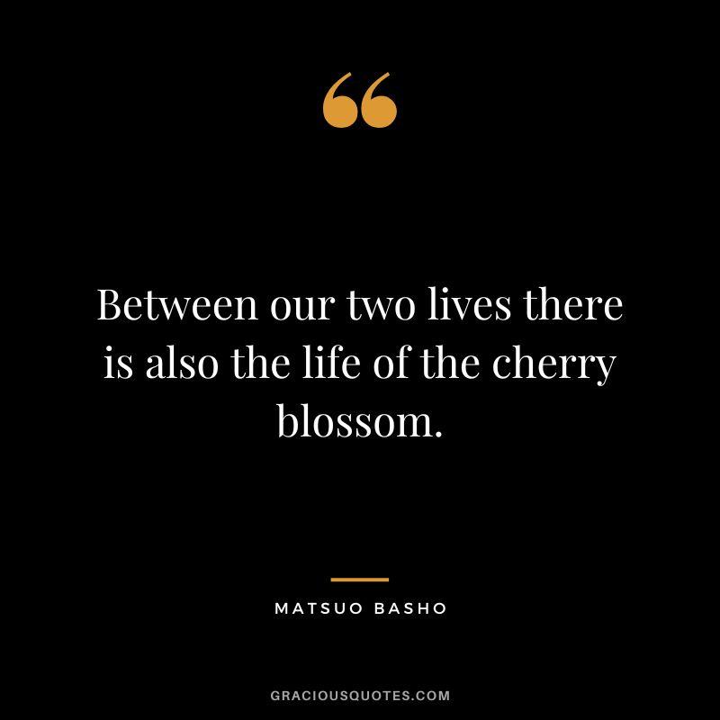 Between our two lives there is also the life of the cherry blossom.