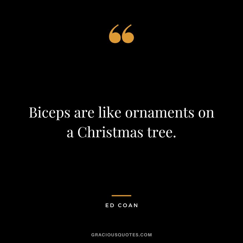 Biceps are like ornaments on a Christmas tree. - Ed Coan