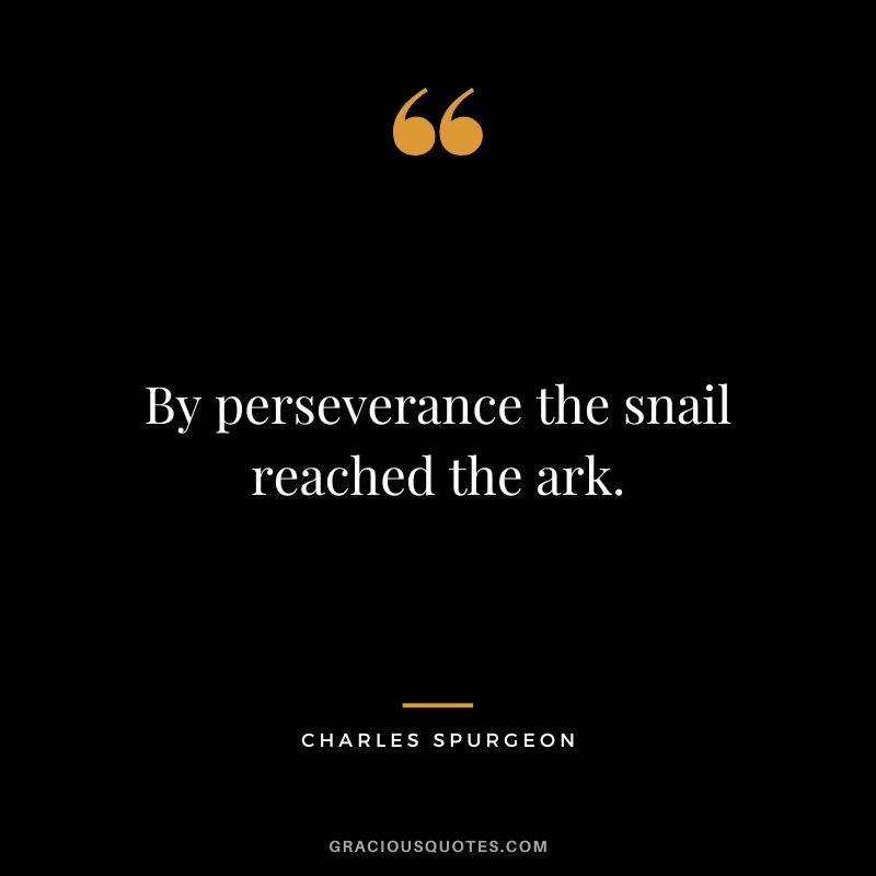 By perseverance the snail reached the ark. - Charles Spurgeon
