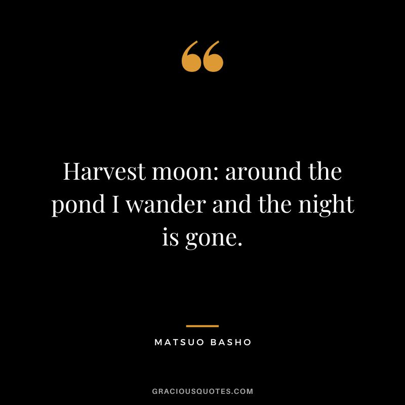 Harvest moon around the pond I wander and the night is gone.