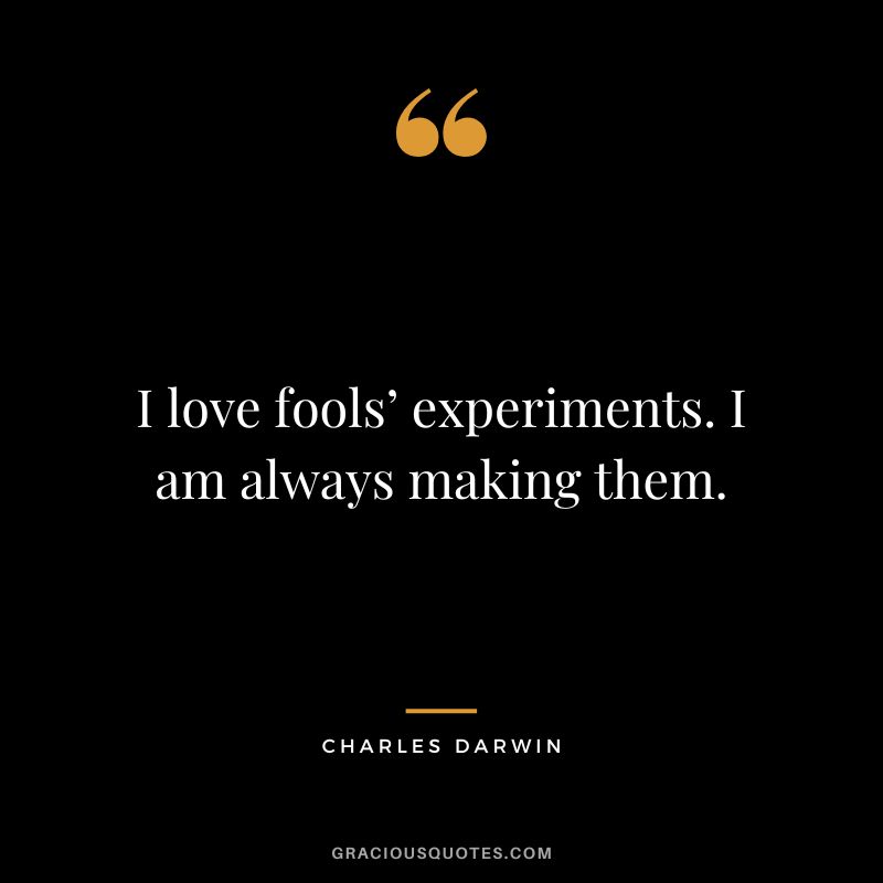 I love fools’ experiments. I am always making them.