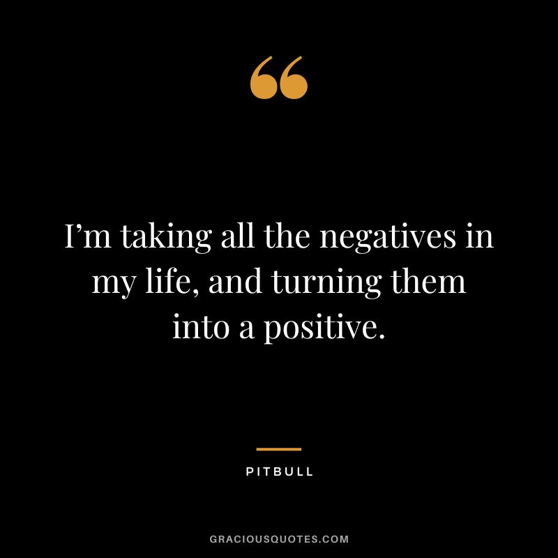 I’m taking all the negatives in my life, and turning them into a positive. - Pitbull