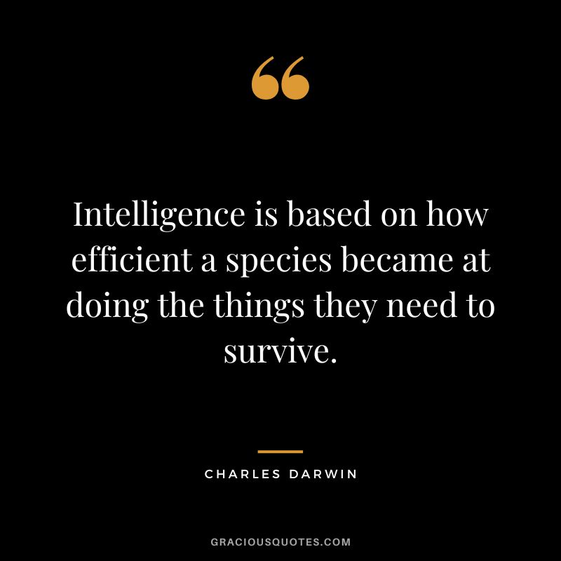 Intelligence is based on how efficient a species became at doing the things they need to survive.