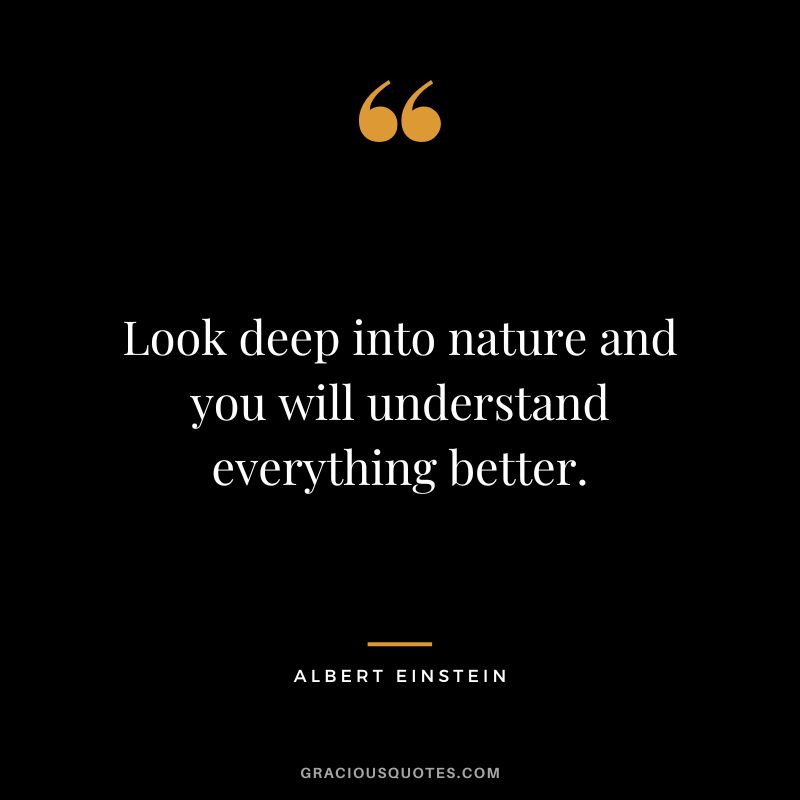 Look deep into nature and you will understand everything better. - Albert Einstein