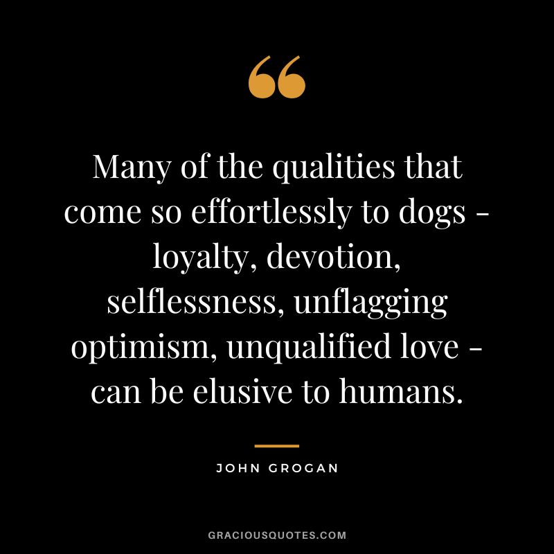 Many of the qualities that come so effortlessly to dogs - loyalty, devotion, selflessness, unflagging optimism, unqualified love - can be elusive to humans. - John Grogan