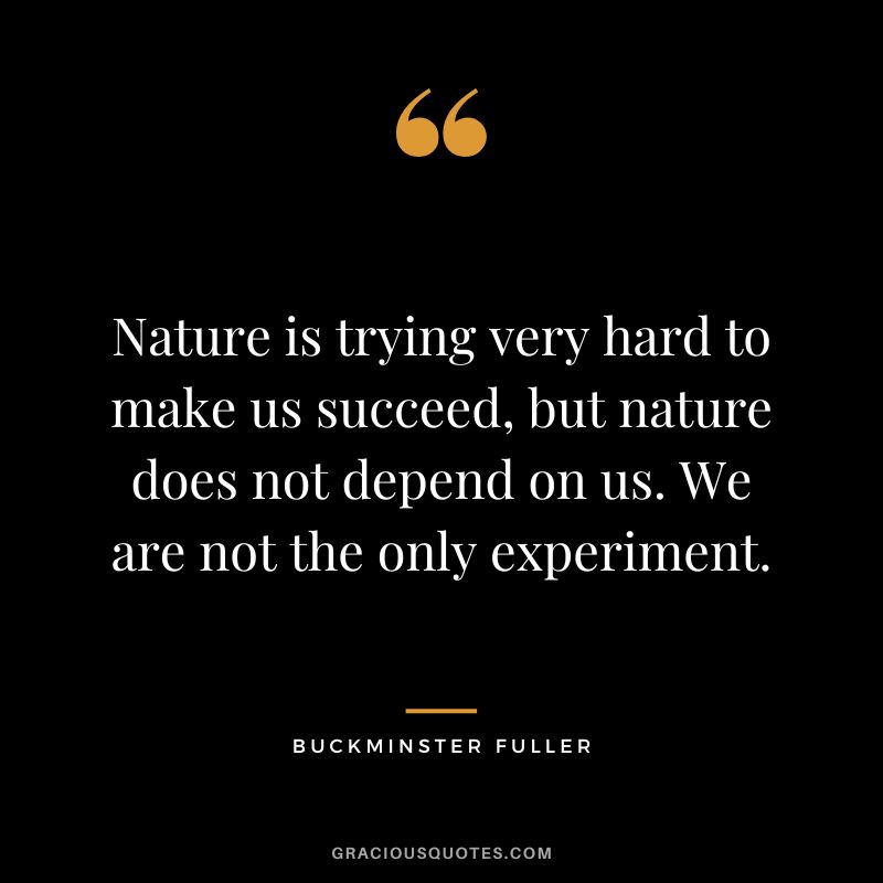 Nature is trying very hard to make us succeed, but nature does not depend on us. We are not the only experiment.