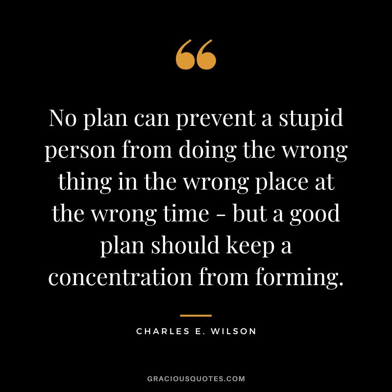 No plan can prevent a stupid person from doing the wrong thing in the wrong place at the wrong time - but a good plan should keep a concentration from forming. - Charles E. Wilson