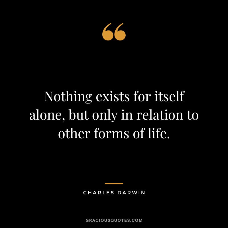 Nothing exists for itself alone, but only in relation to other forms of life.