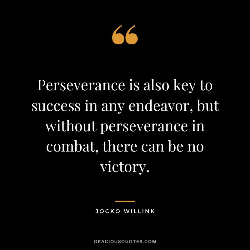 Perseverance is also key to success in any endeavor, but without perseverance in combat, there can be no victory. - Jocko Willink