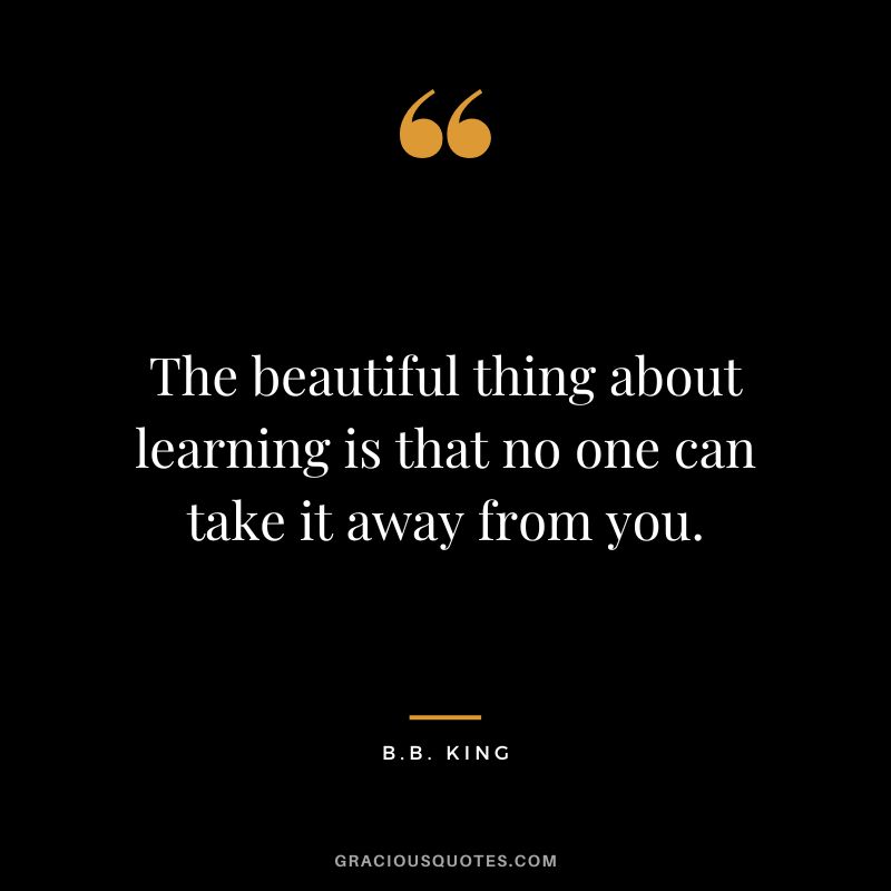 The beautiful thing about learning is that no one can take it away from you. - B.B. King