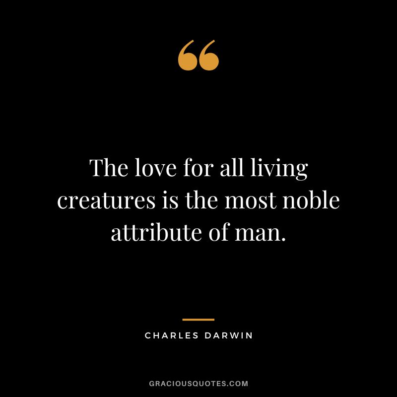The love for all living creatures is the most noble attribute of man.