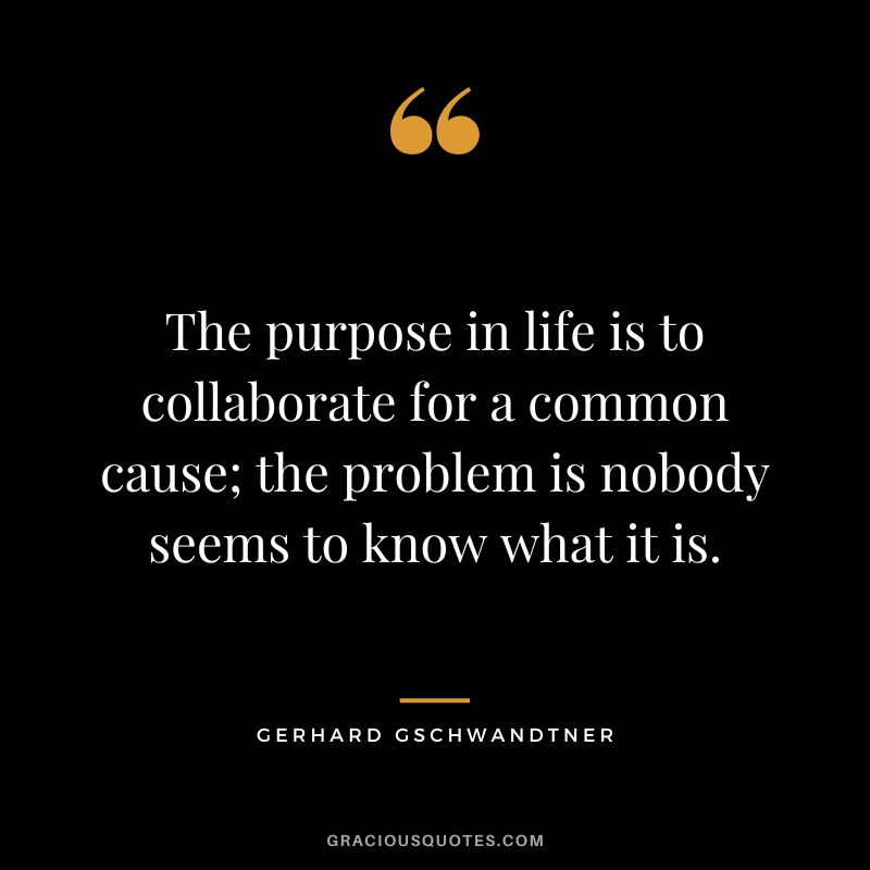The purpose in life is to collaborate for a common cause; the problem is nobody seems to know what it is. - Gerhard Gschwandtner