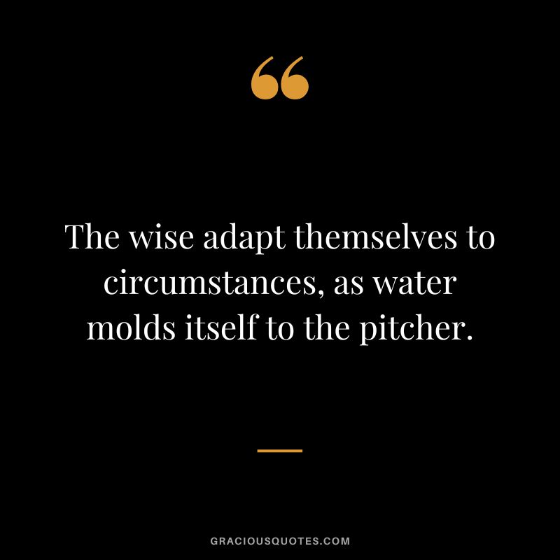 The wise adapt themselves to circumstances, as water molds itself to the pitcher.