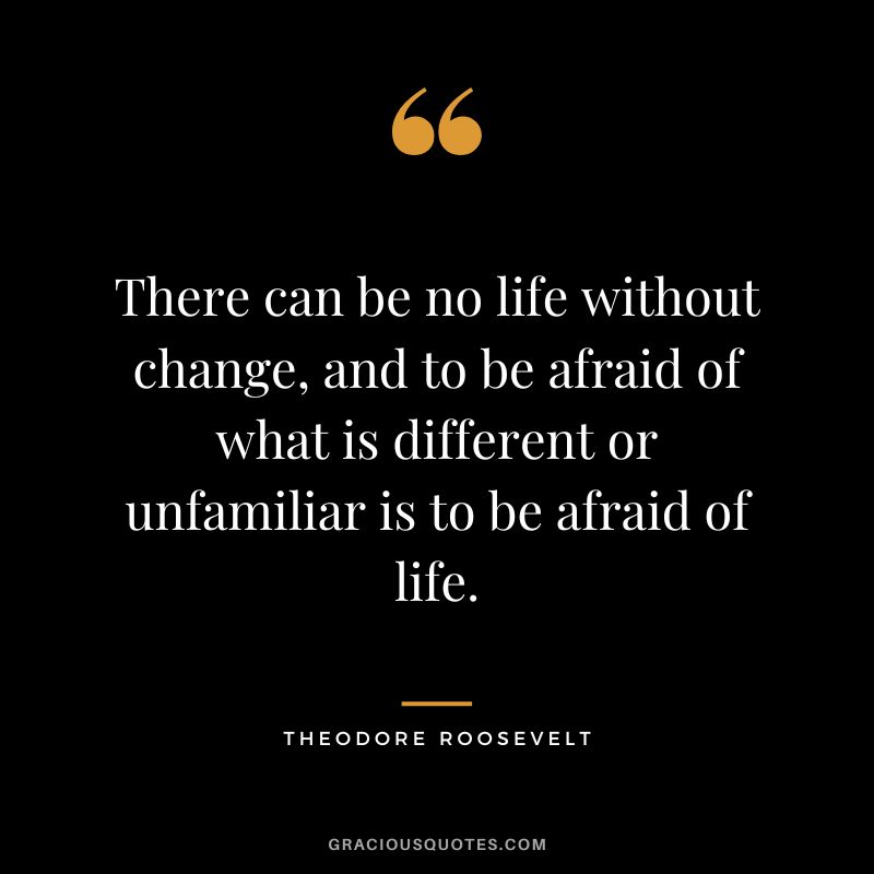 There can be no life without change, and to be afraid of what is different or unfamiliar is to be afraid of life. - Theodore Roosevelt