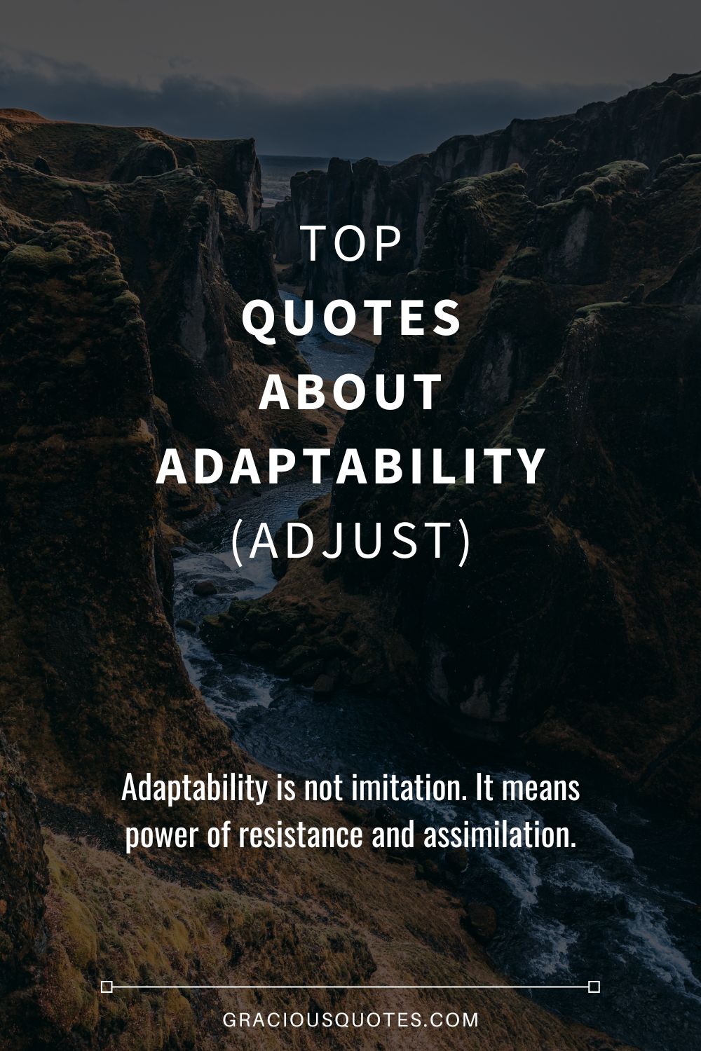 Top Quotes About Adaptability (ADJUST) - Gracious Quotes