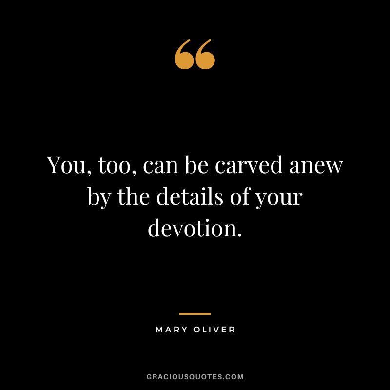 You, too, can be carved anew by the details of your devotion. - Mary Oliver