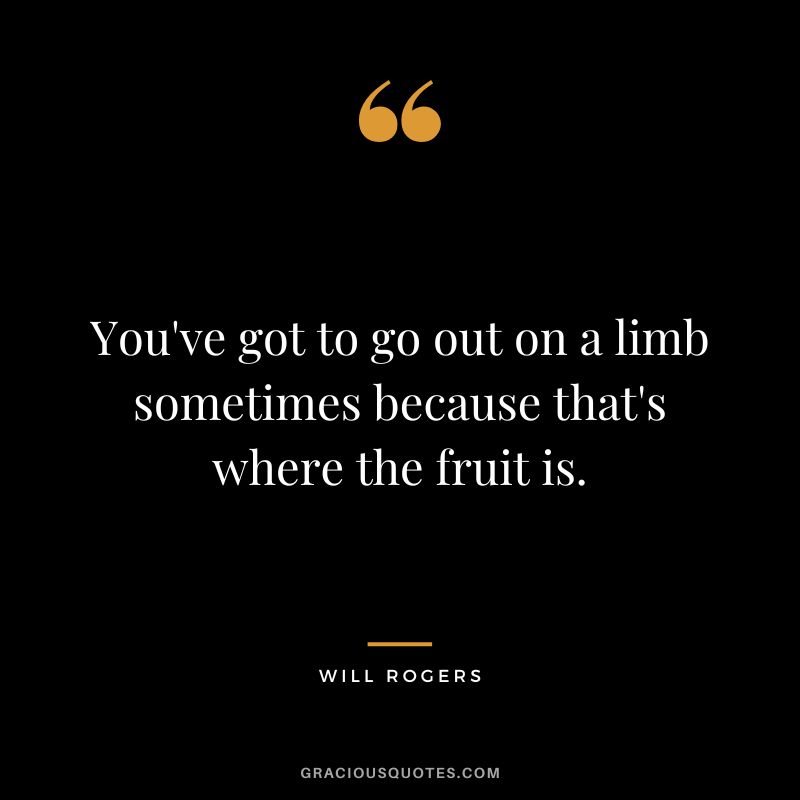 You've got to go out on a limb sometimes because that's where the fruit is.