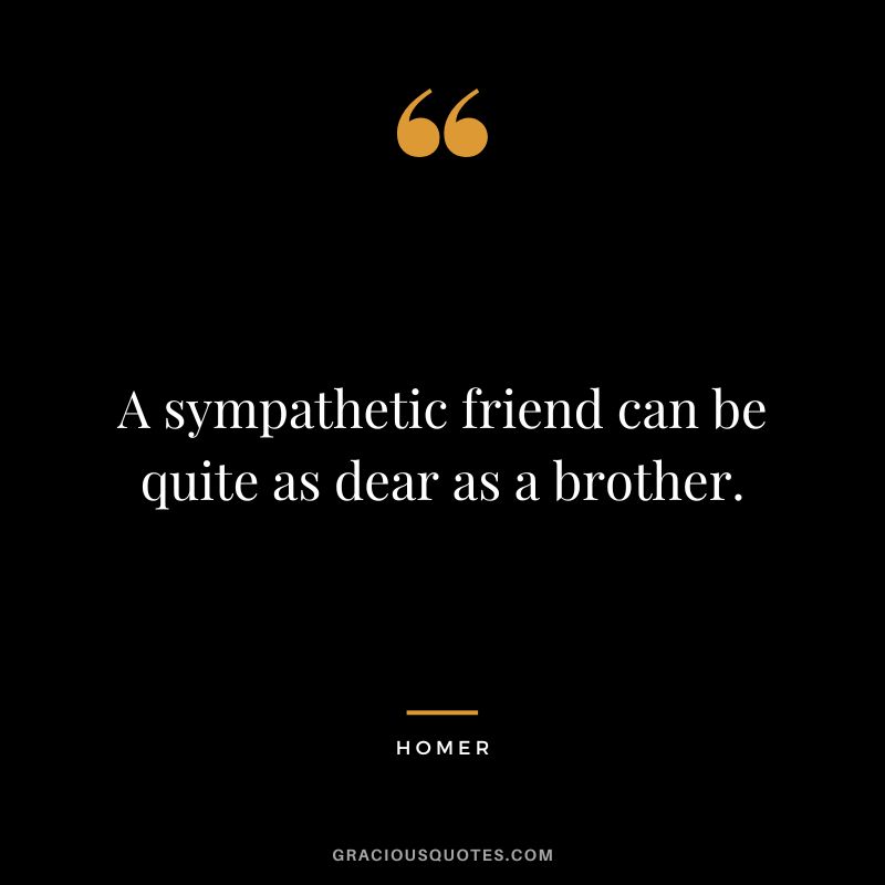 A sympathetic friend can be quite as dear as a brother. - Homer