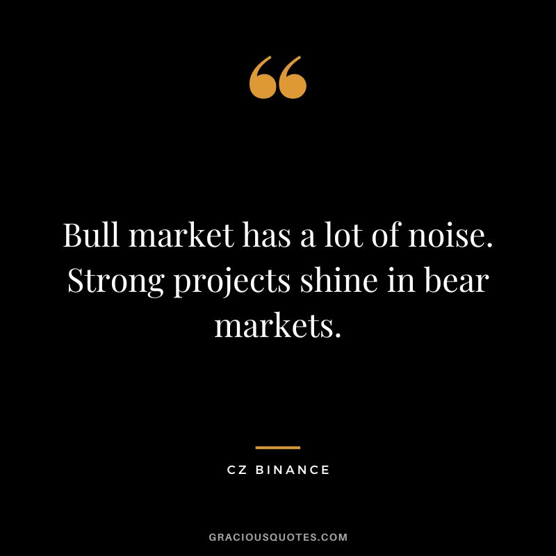 Bull market has a lot of noise. Strong projects shine in bear markets.