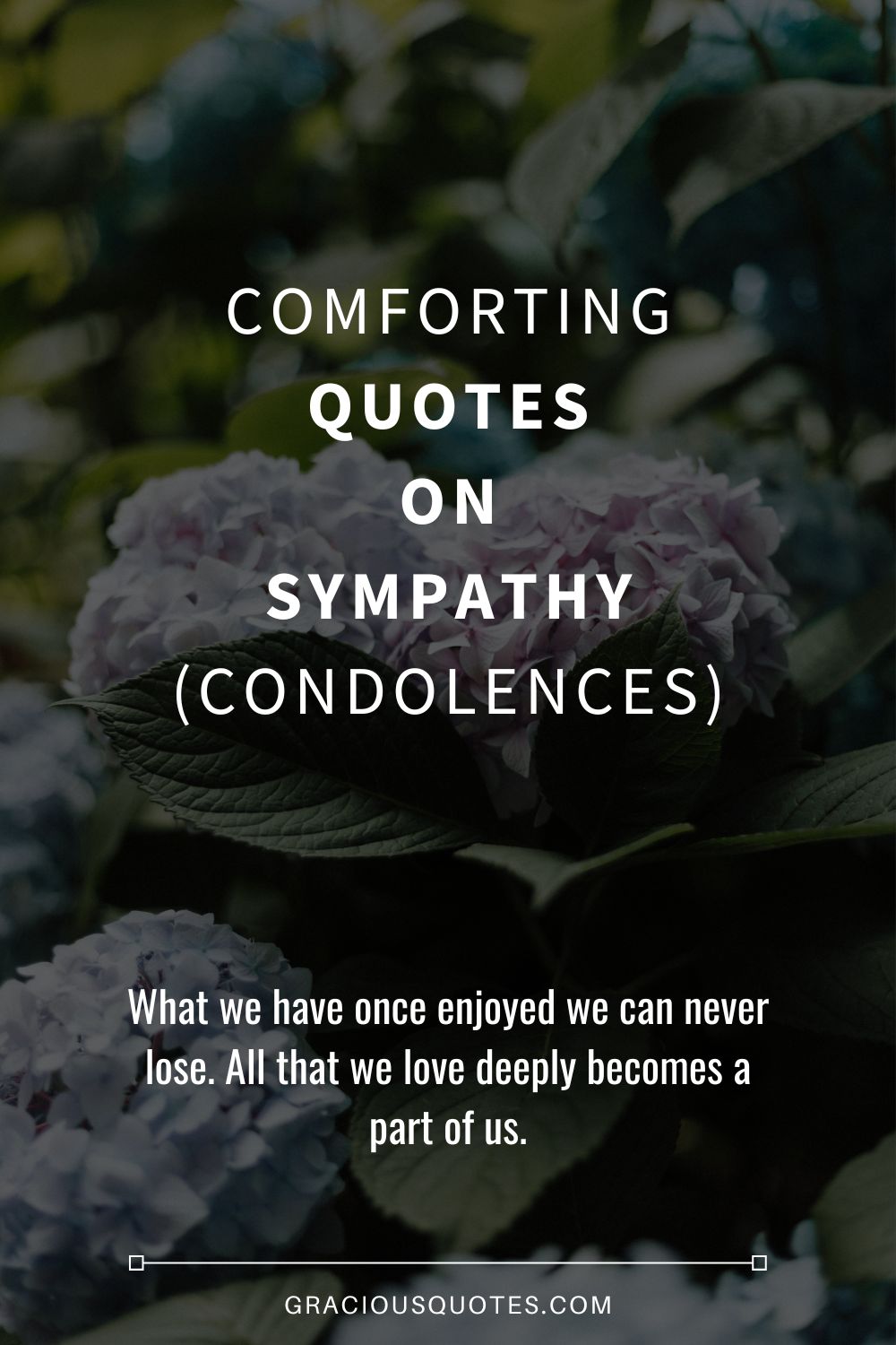 Comforting Quotes on Sympathy (CONDOLENCES) - Gracious Quotes