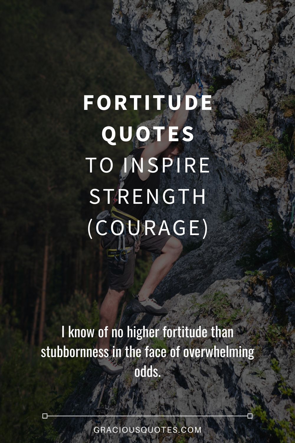 Fortitude Quotes to Inspire Strength (COURAGE) - Gracious Quotes