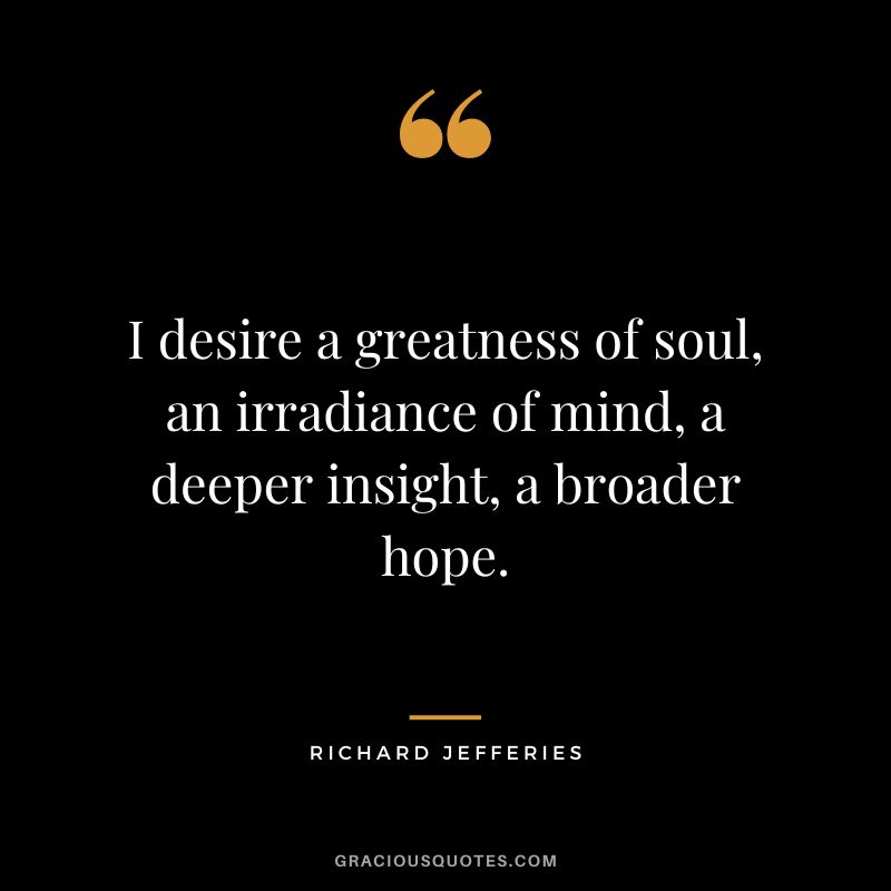 I desire a greatness of soul, an irradiance of mind, a deeper insight, a broader hope. - Richard Jefferies